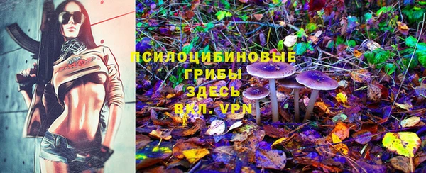 круглые Алзамай